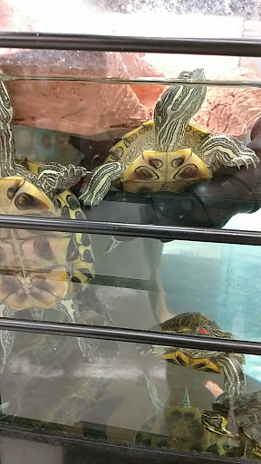 Pet Supply Store «Petco Animal Supplies», reviews and photos, 1933 South Rd, Poughkeepsie, NY 12601, USA