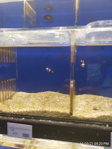 Aquarium «Aquatica», reviews and photos, 800 Clanton Rd H, Charlotte, NC 28117, USA