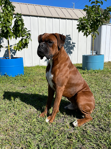 6310 S Dale Mabry Hwy, Tampa, FL 33611, USA