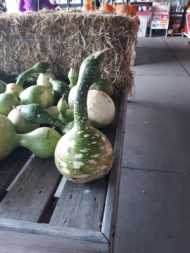 Shopping Mall «Newington Fair Shopping Ctr», reviews and photos, 3475 Berlin Turnpike, Newington, CT 06111, USA