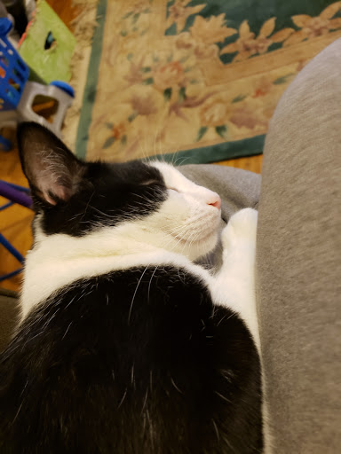 Pet Supply Store «One of the Family Pet Supply LLC», reviews and photos, 288 Lincoln Blvd, Middlesex, NJ 08846, USA