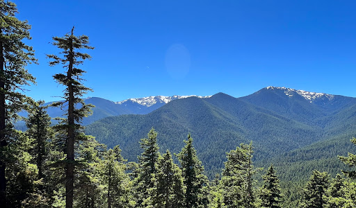 National Park «Olympic National Park», reviews and photos