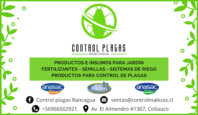 Opiniones de Control plagas Rancagua en Coltauco - Empresa de fumigación y control de plagas