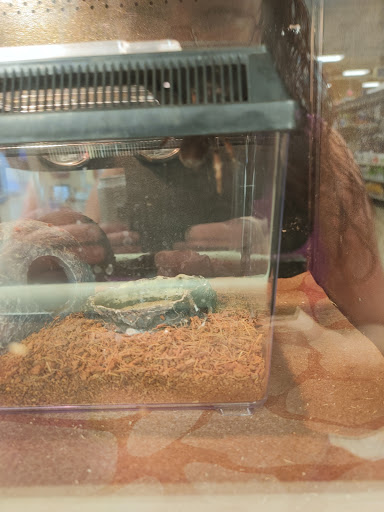 Pet Supply Store «PetSmart», reviews and photos, 2028 Miamisburg Centerville Rd, Dayton, OH 45459, USA