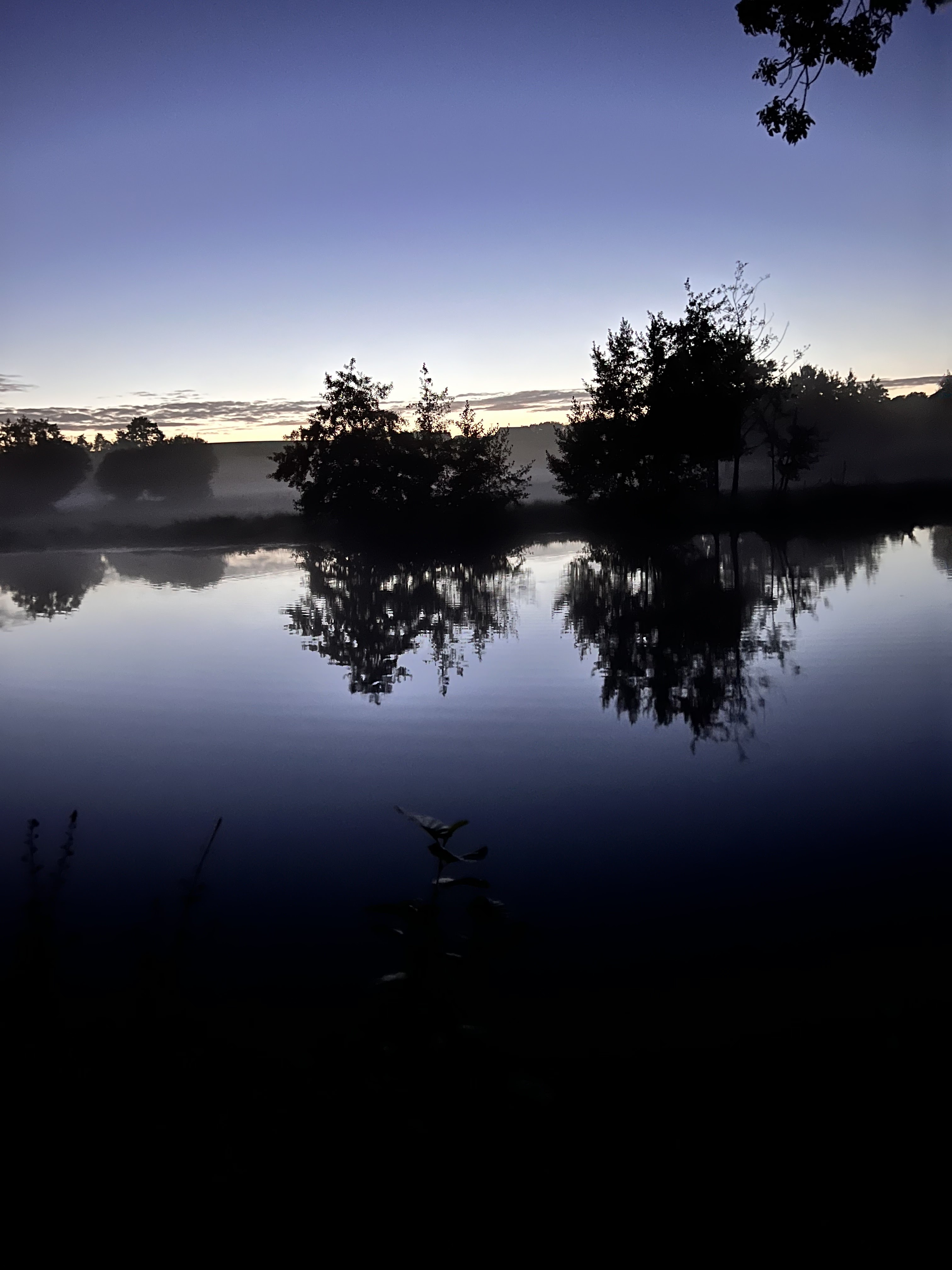 Photo n° 1 de l'avis de Vladimir.o fait le 12/09/2022 à 17:36