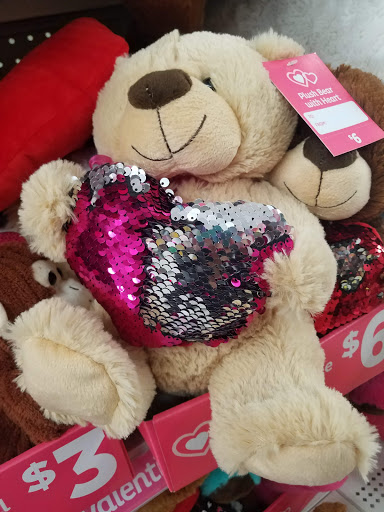 Home Goods Store «Dollar General», reviews and photos, 29619 Fm 1093 Road, Fulshear, TX 77441, USA