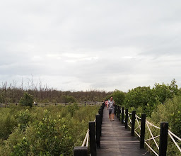 ศูนย์ศึกษาธรรมชาติและอนุรักษ์ป่าชายเลนเพื่อการท่องเที่ยวเชิงนิเวศ photo