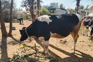 Chintamani Cow Market image