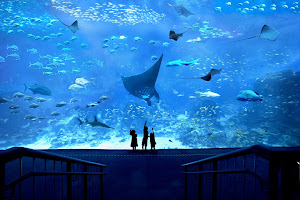 S.E.A. Aquarium image