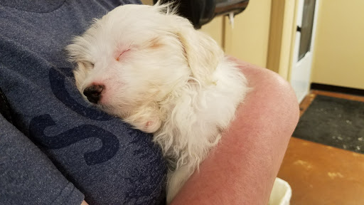 Pet Store «Fairwood Pet Center», reviews and photos, 14201 SE Petrovitsky Rd, Renton, WA 98058, USA