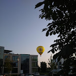 Photo n°1 de l'avis de Frank.c fait le 16/09/2020 à 14:39 sur le  Luzifer Schleswig à Schleswig