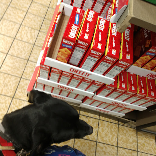 ALDI, 2 Pine Grove Square, Grove City, PA 16127, USA, 