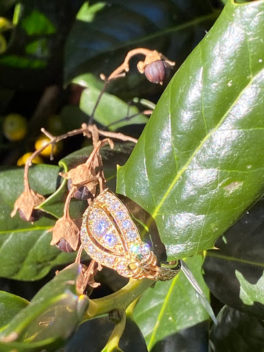 Jeweler «Dylan Rings Inc», reviews and photos, 119 Brown Springs Rd, Montgomery, AL 36117, USA