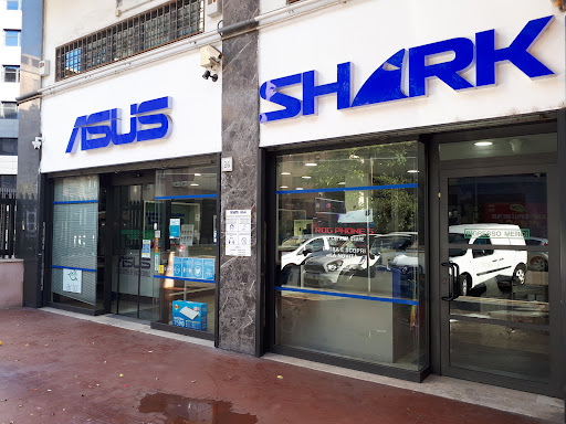 Shark - ASUS Gold Store