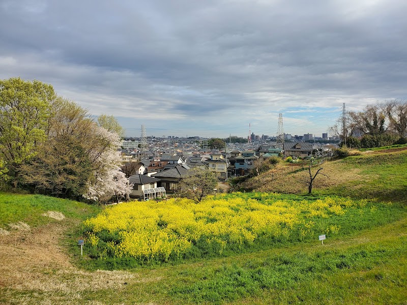 ドレミの丘公園