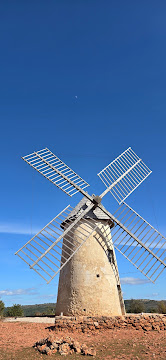 Photo n° 0 de l'avis de Alain Courtaut fait le 16/03/2024
