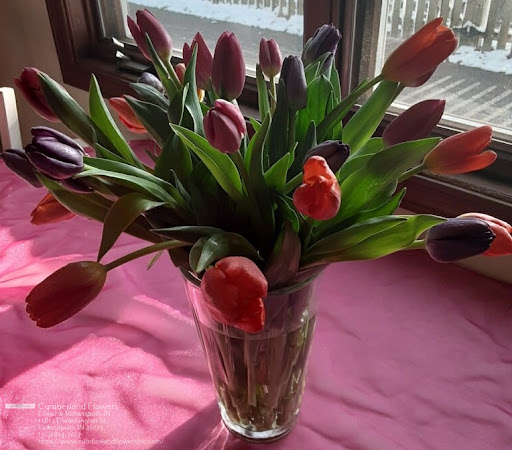 Florist «Cumberland Flowers», reviews and photos, 11817 E Washington St, Indianapolis, IN 46229, USA