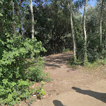 Photo n°39 de l'avis de Antonio.a fait le 22/08/2021 à 18:10 sur le  Parco del Grassano à San Salvatore Telesino