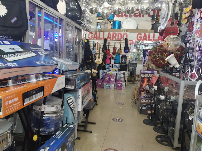 Opiniones de Almacén musical Gallardo en Guayaquil - Tienda de instrumentos musicales
