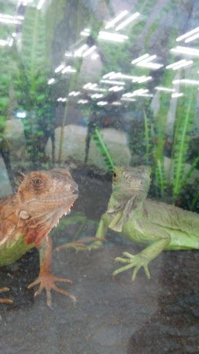 Pet Supply Store «Petco Animal Supplies», reviews and photos, 597 Hebron Rd #2, Heath, OH 43056, USA