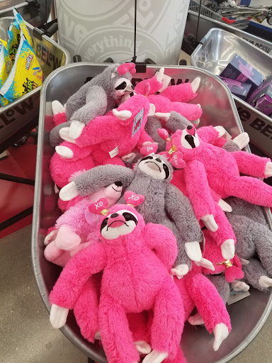 Variety Store «Five Below», reviews and photos, 5419 TX-1604 Loop, San Antonio, TX 78253, USA