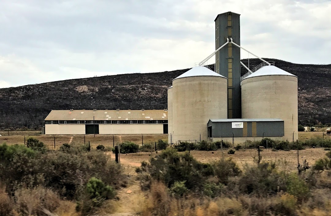 Camfer Silos