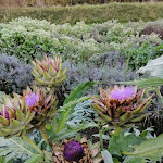 Photo n°6 de l'avis de Carola.e fait le 25/10/2022 à 11:13 sur le  Hotel und Restaurant Am Peenetal - Gutshof Liepen GmbH à Neetzow-Liepen