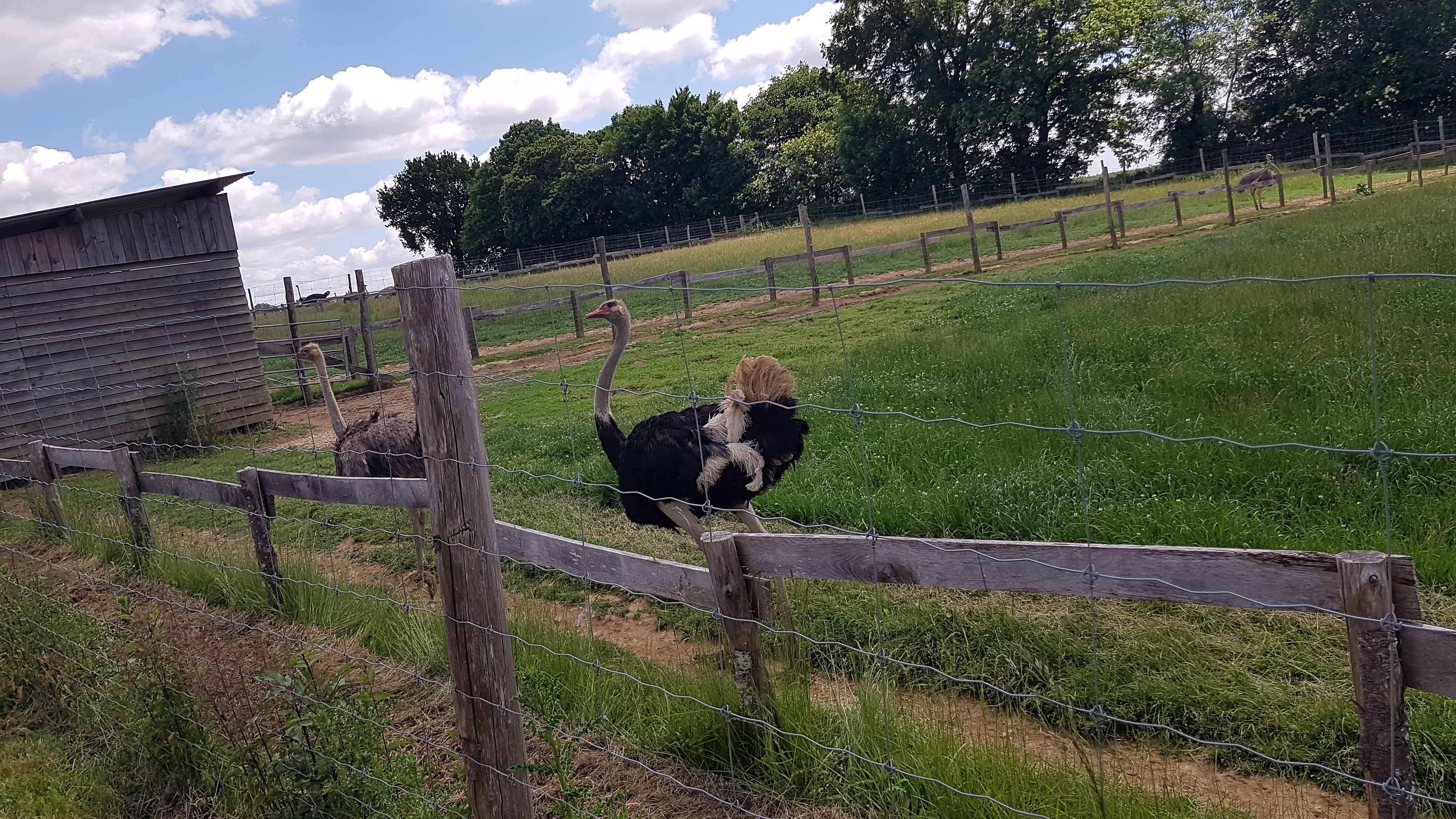 Photo n° 2 de l'avis de stephane.i fait le 05/06/2021 à 15:53