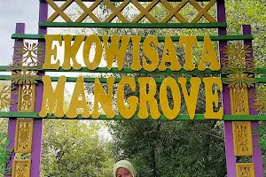 Wisata Hutan Mangrove image