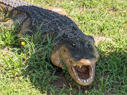 Cigar Shop «Border Store», reviews and photos, 4240 James Madison Pkwy, King George, VA 22485, USA