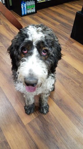 Pet Supply Store «Pet Valu», reviews and photos, 18115 Town Center Dr, Olney, MD 20832, USA