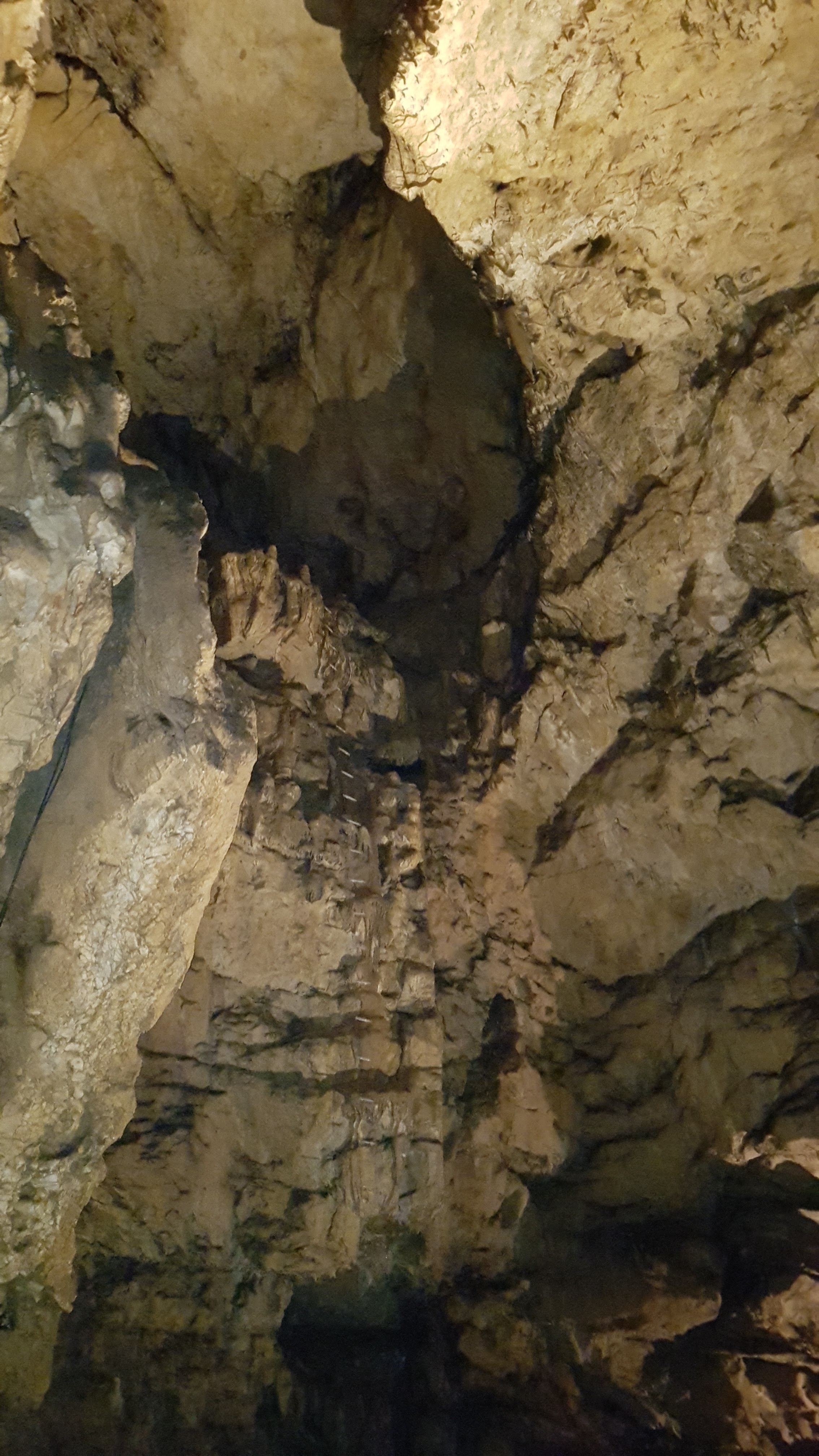 Photo n° 24 de l'avis de delphine.l fait le 25/08/2018 à 12:52