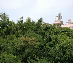 Hua Hin City View photo