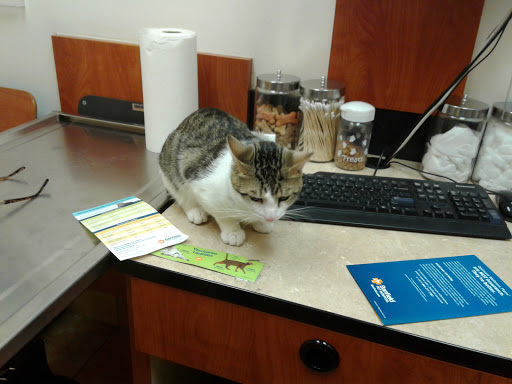 Pet Supply Store «PetSmart», reviews and photos, 1700 Fruitville Pike, Lancaster, PA 17601, USA