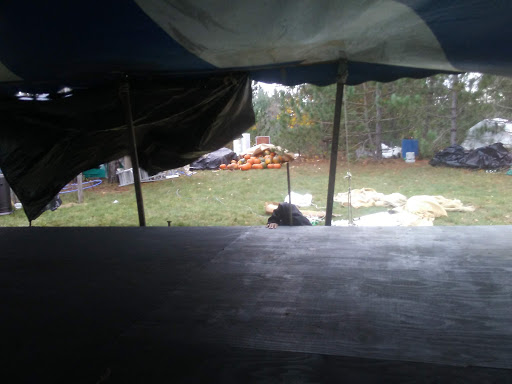 Live Music Venue «Dunesville Music Festival Main Stage», reviews and photos, 4846 N Hulbert Rd, Interlochen, MI 49643, USA