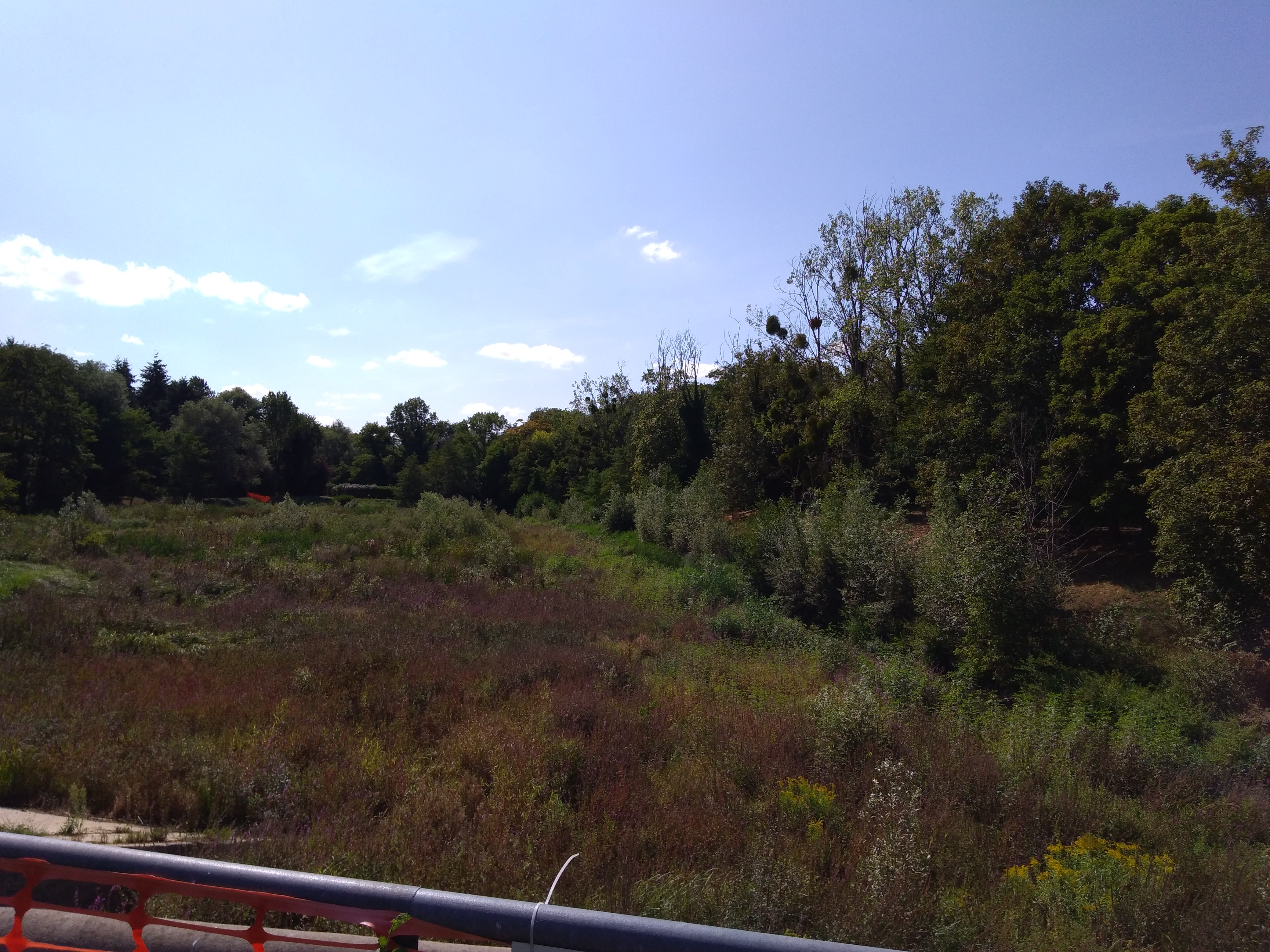 Photo n° 4 de l'avis de ocus.o fait le 23/08/2018 à 13:27
