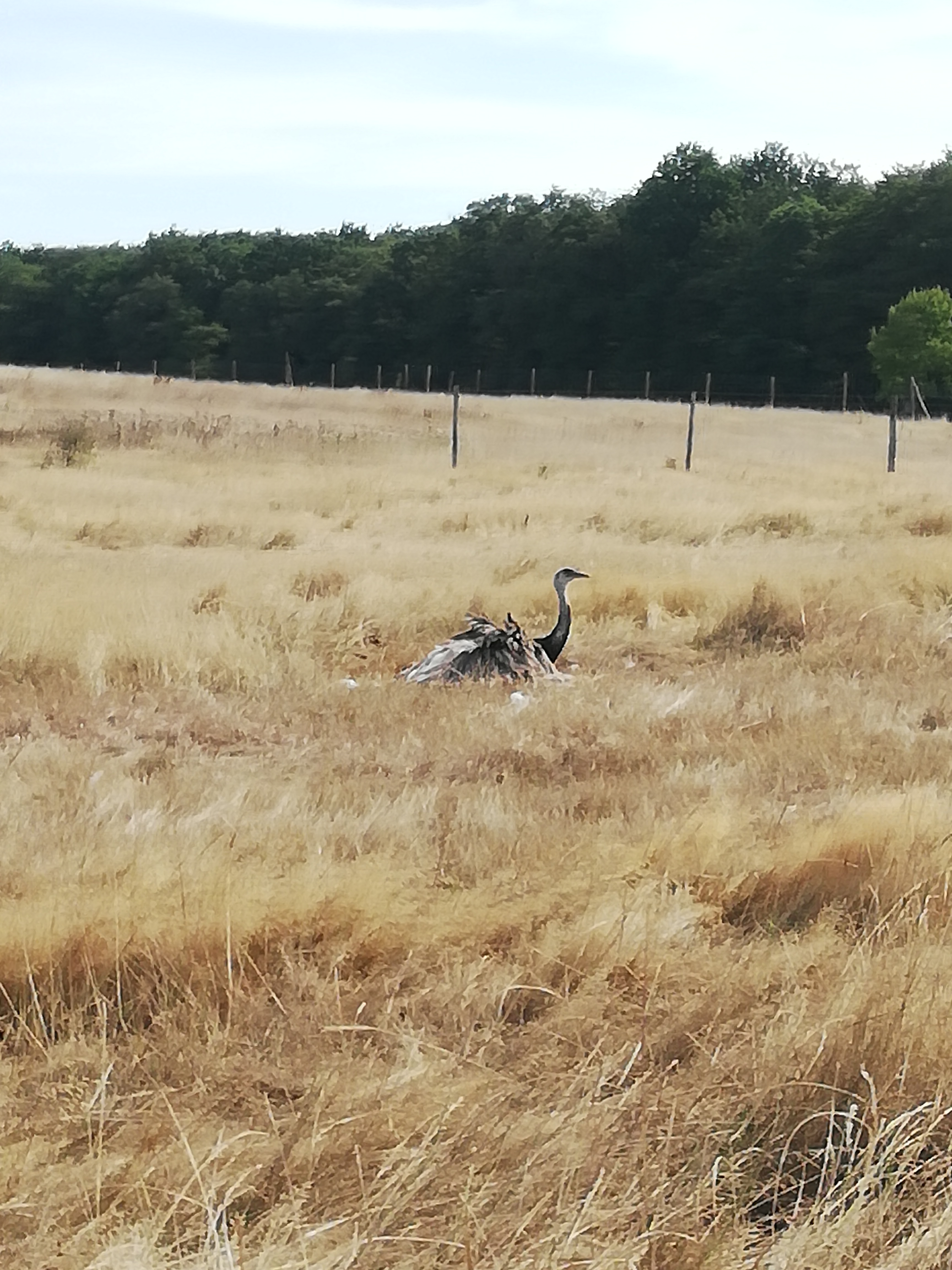 Photo n° 32 de l'avis de Severine.e fait le 23/08/2019 à 23:18