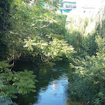 Photo n°5 de l'avis de Cos.a fait le 21/02/2021 à 20:55 sur le  Hotel Carlton à Treviso