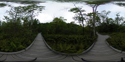 Nature Preserve «Eshqua Bog Natural Area», reviews and photos, Garvin Hill Rd, Woodstock, VT 05091, USA