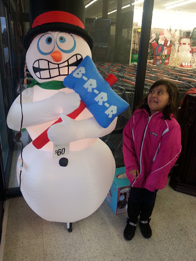 Discount Store «Big Lots», reviews and photos, 340 Summit Dr, Lockport, IL 60441, USA