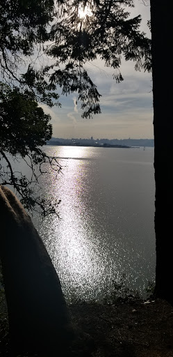 Cafe «Sidewalk Cafe», reviews and photos, 601 Capitol Way N, Olympia, WA 98501, USA