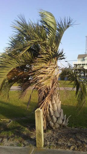 Coffee Shop «BEADS & BEANS OBX», reviews and photos, 24267 NC-12, Rodanthe, NC 27968, USA