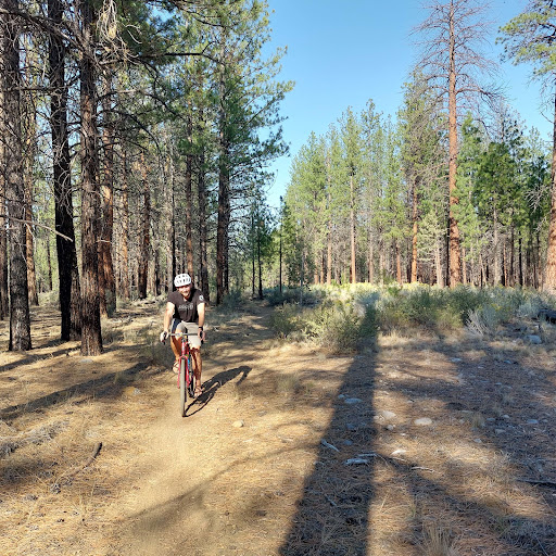 Mortgage Broker «Stonebridge Mortgage Group Inc.», reviews and photos