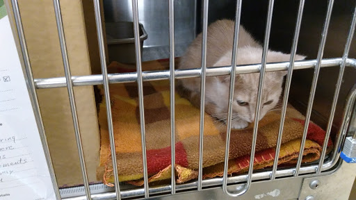 PetSmart, 3500 IN-38, Lafayette, IN 47905, USA, 