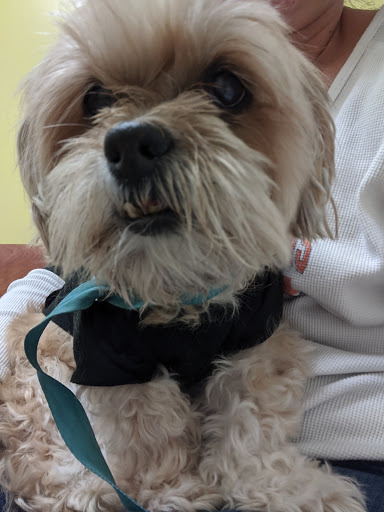 Pet Supply Store «PetSmart», reviews and photos, 1391 S Commons Dr, Myrtle Beach, SC 29588, USA