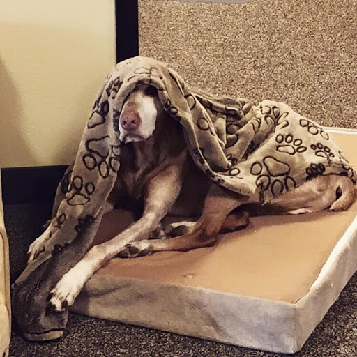 Employment Agency «Express Employment Professionals - Longview, WA», reviews and photos, 1208 Washington Way #130, Longview, WA 98632, USA