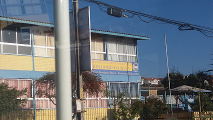 Colegio Victor Domingo Silva