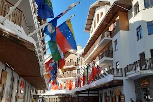 Avenue of flags image