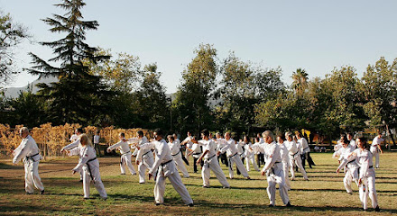 Nam Wah Pai - Escuela de Artes Marciales Chinas - Kung Fu Shaolin - Tai Chi Kong