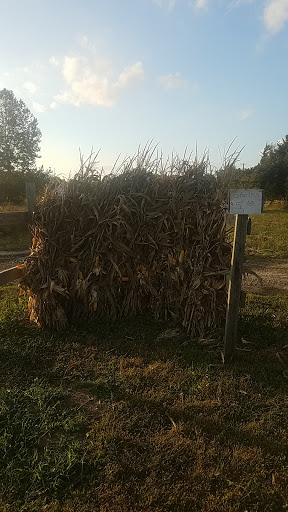 Grocery Store «Liepes Farm & Market», reviews and photos, 3135 S Cologne Ave, Mays Landing, NJ 08330, USA